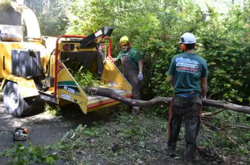 tree services Moline